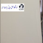 طلق دوغی